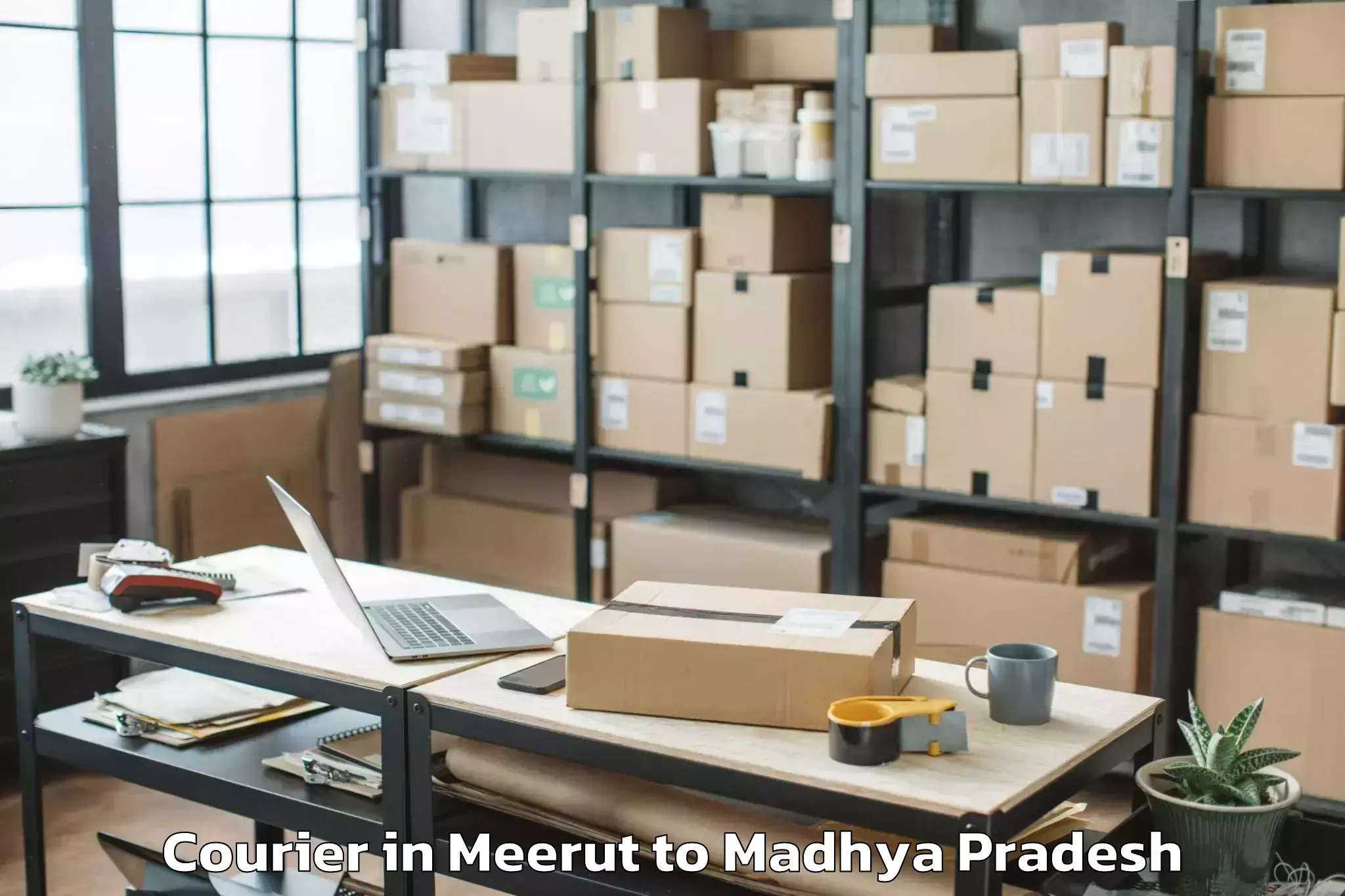 Meerut to Badnawar Courier